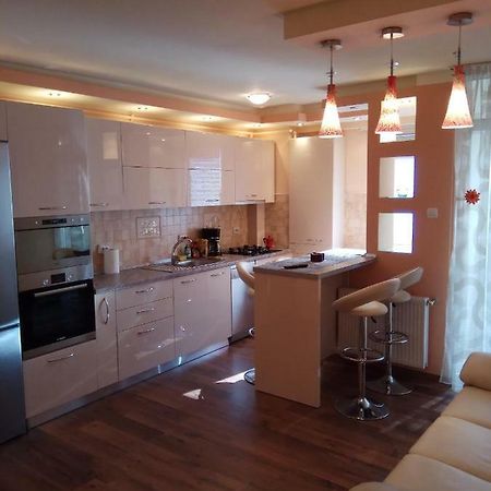 Ana'S Apartment Baia Mare Bagian luar foto