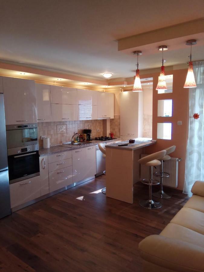 Ana'S Apartment Baia Mare Bagian luar foto