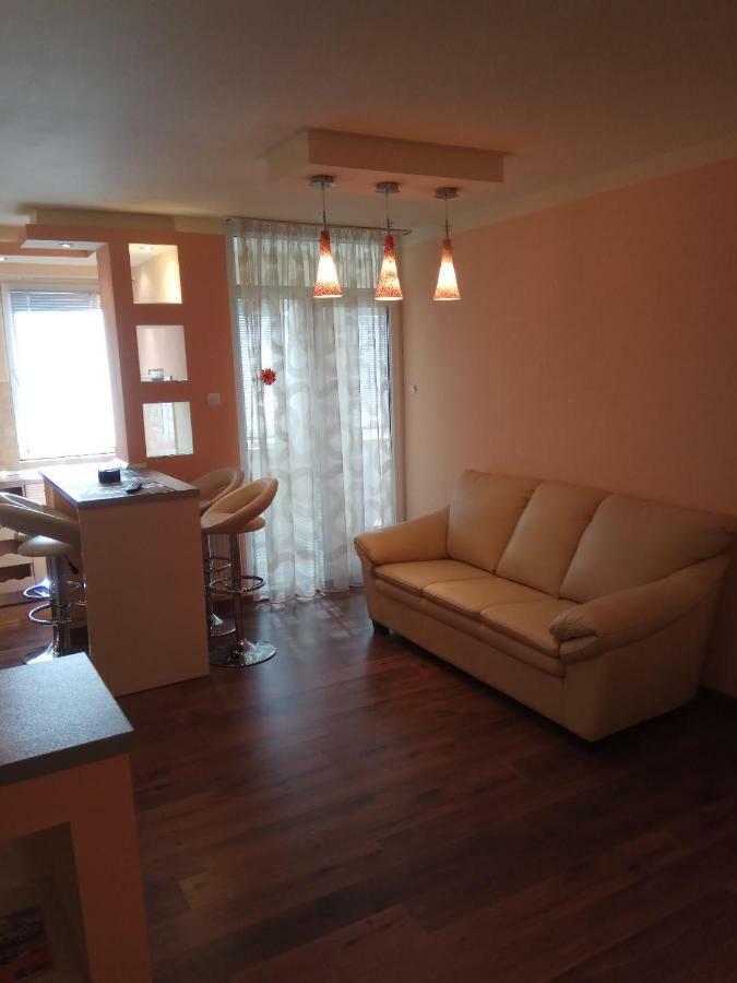 Ana'S Apartment Baia Mare Bagian luar foto