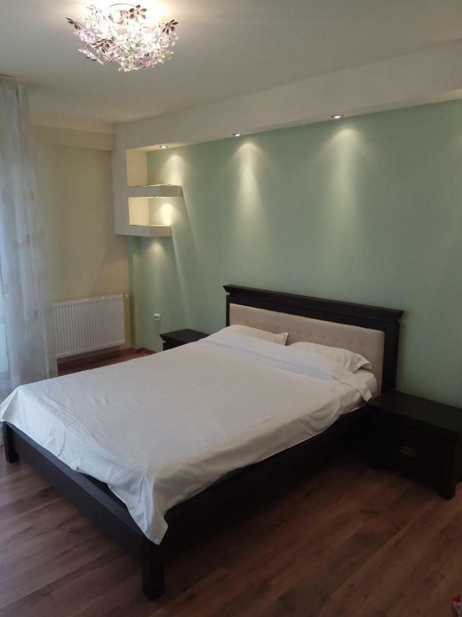 Ana'S Apartment Baia Mare Bagian luar foto