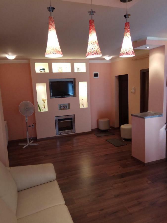 Ana'S Apartment Baia Mare Bagian luar foto
